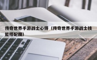 传奇世界手游战士心得（传奇世界手游战士技能搭配图）